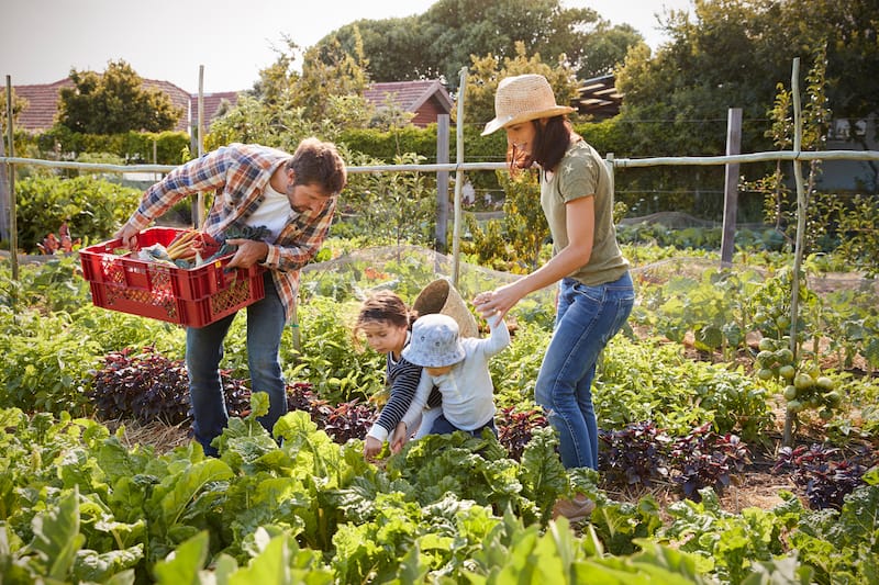 Do you want to get kids started on chores but wondering where to begin? This post has tips on how to get kids started on doing chores.#kidschoreideas