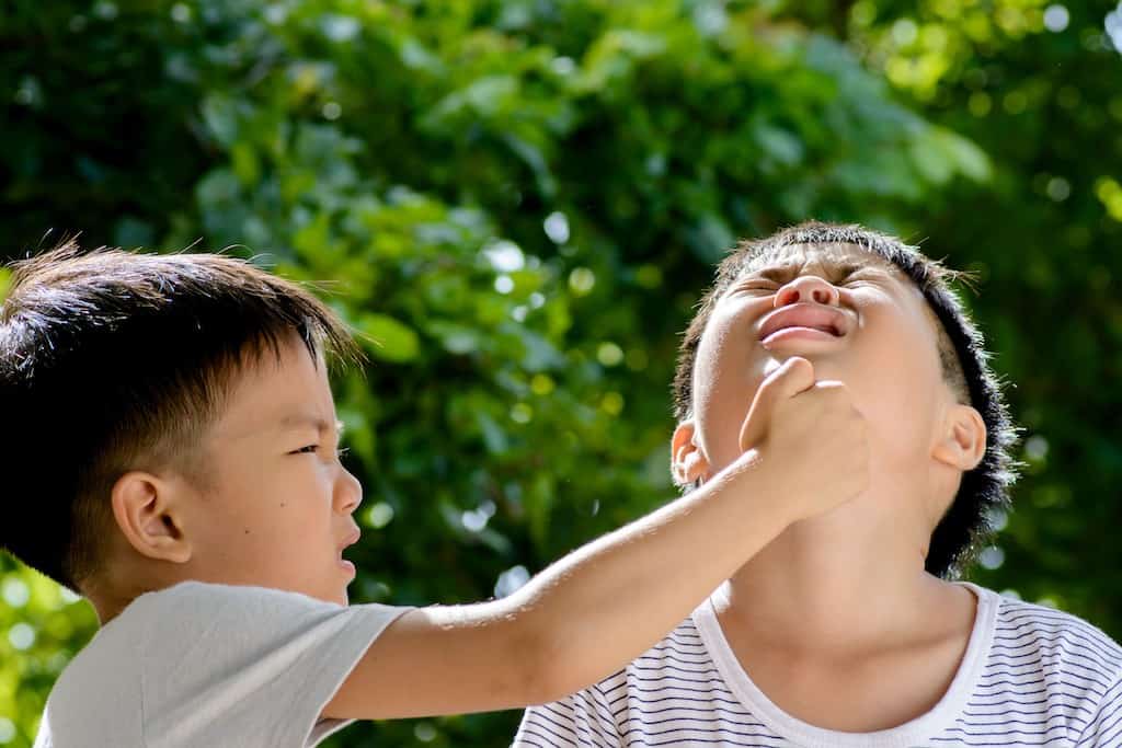 kids fighting - what is positive discipline? positive discipline techniques that work