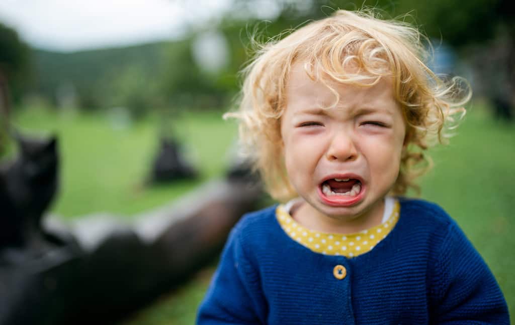 Toddler Tantrums 101 How To Deal With Temper Tantrums In Toddlers Messy Yet Lovely