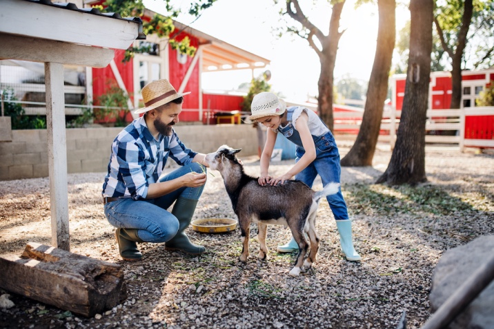 a father and daughter feeding a goat- random acts of kindness idea