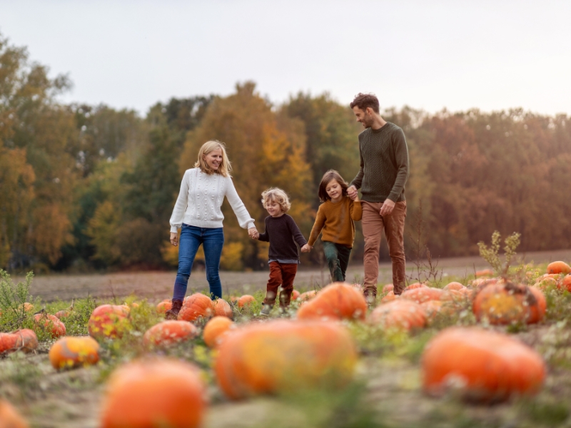 85 Fall bucket list ideas for families (traditions, meals, and cozy nights in)